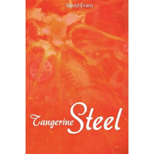 Tangerine Steel: A Life Story Paperback, Createspace Independent Publishing Platform