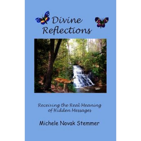 Divine Reflections: Receiving the Real Meaning of Hidden Messages Paperback, Createspace Independent Publishing Platform