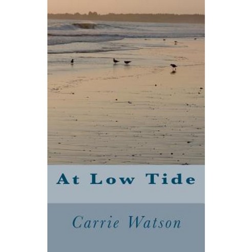 At Low Tide Paperback, Createspace Independent Publishing Platform