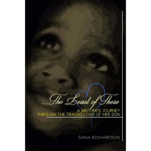 The Least of These: A Mother''s Journey Through the Tragic Loss of Her Son Paperback, Createspace Independent Publishing Platform