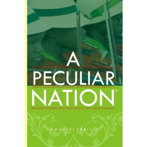 A Peculiar Nation: Renainsance of People Project Places Purpose Plans and Persons Paperback, Createspace Independent Publishing Platform