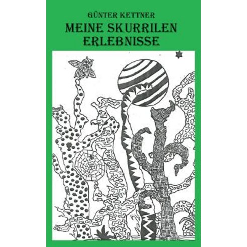 Meine Skurrilen Erlebnisse Paperback, Books on Demand