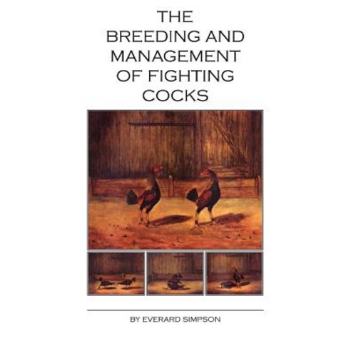 The Breeding and Management of Fighting Cocks Paperback, Read Country Book