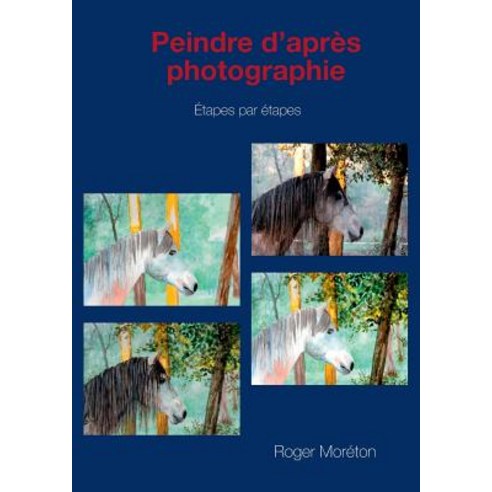 Peindre D''Apres Photographie Paperback, Books on Demand