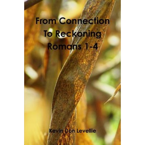 From Connection to Reckoning Romans 1-4 Paperback, Lulu.com