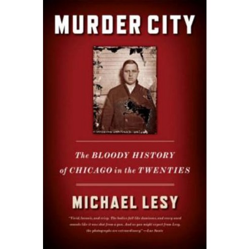 Murder City: The Bloody History of Chicago in the Twenties Paperback, W. W. Norton & Company