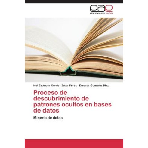 Proceso de Descubrimiento de Patrones Ocultos En Bases de Datos Paperback, Editorial Academica Espanola