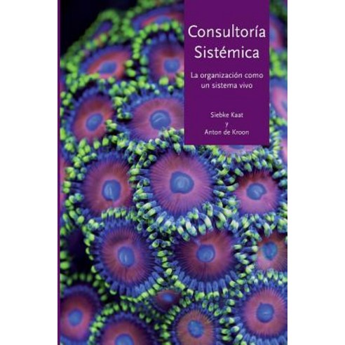 Consultoria Sistemica: La Organizacion Como Un Sistema Vivo Paperback, Uitgeverij Het Noorderlicht