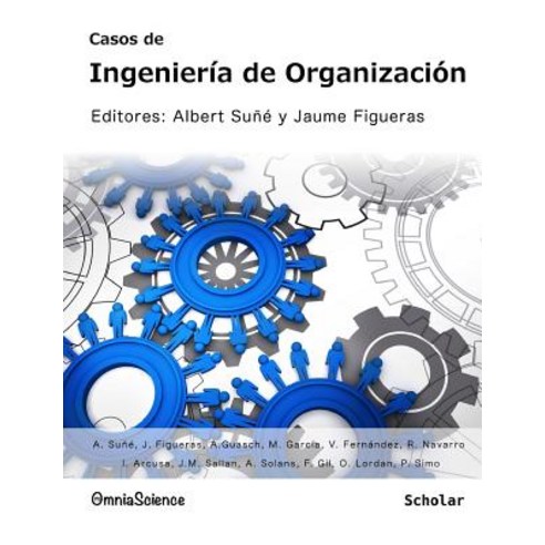 Casos de Ingenieria de Organizacion Paperback, Omniascience