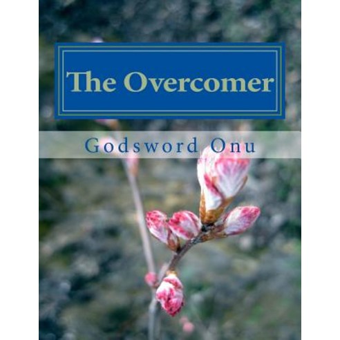 The Overcomer: He Who Overcomes Shall Inherit All Things Paperback, Createspace