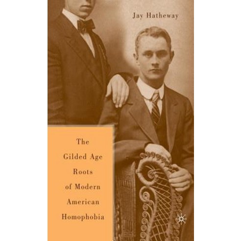 The Gilded Age Construction of American Homophobia Hardcover, Palgrave MacMillan