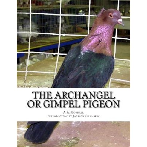 The Archangel or Gimpel Pigeon: Pigeon Breeds Book 8 Paperback, Createspace Independent Publishing Platform