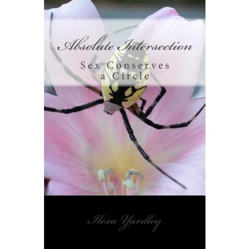 Absolute Intersection: Sex Conserves a Circle Paperback, Createspace Independent Publishing Platform