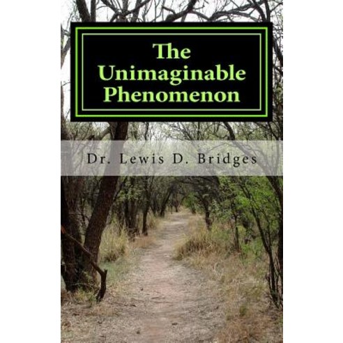 The Unimaginable Phenomenon Paperback, Createspace Independent Publishing Platform
