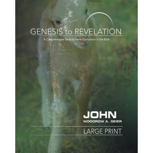 Genesis to Revelation: John Participant Book [Large Print]: A Comprehensive Verse-By-Verse Exploration of the Bible Paperback, Abingdon Press