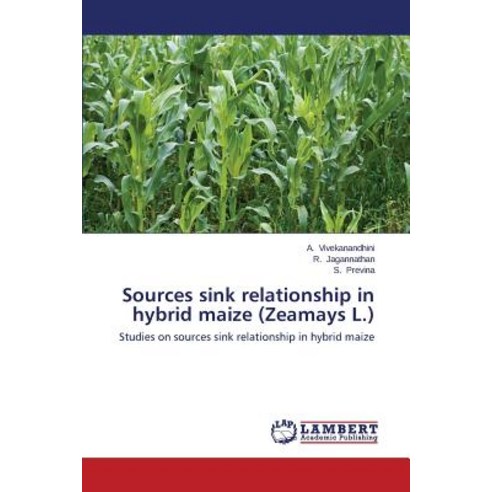 Sources Sink Relationship in Hybrid Maize (Zeamays L.) Paperback, LAP Lambert Academic Publishing