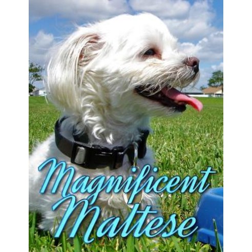Magnificent Maltese Paperback, Createspace Independent Publishing Platform