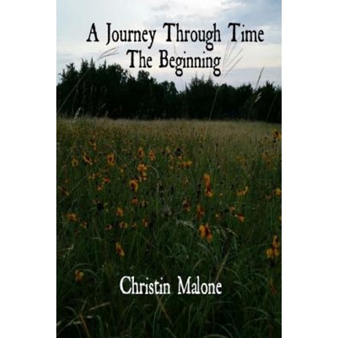 A Journey Through Time: The Beginning Paperback, Createspace Independent Publishing Platform