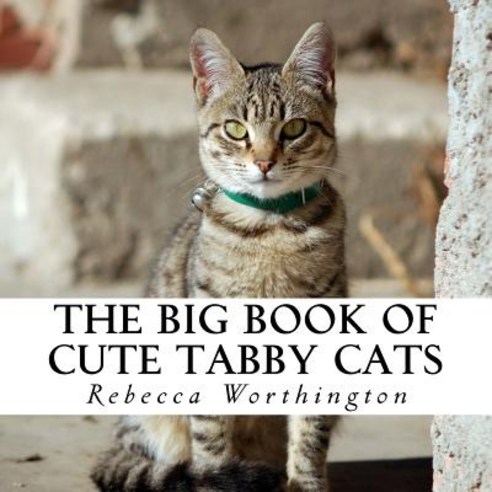 The Big Book of Cute Tabby Cats: A Text-Free Book for Seniors and Alzheimer''s Patients Paperback, Createspace Independent Publishing Platform