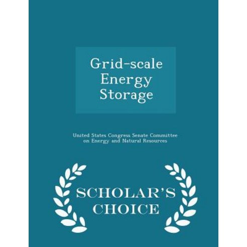 Grid-Scale Energy Storage - Scholar''s Choice Edition Paperback