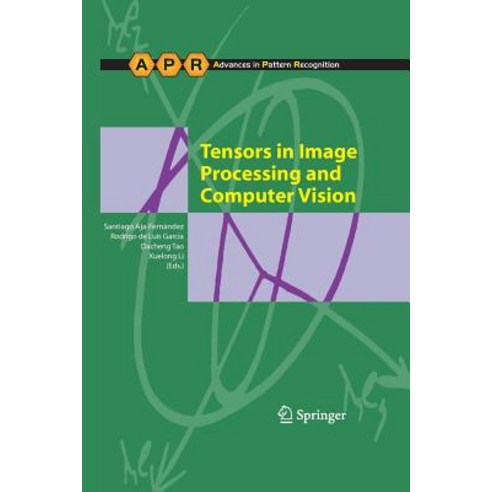 Tensors in Image Processing and Computer Vision Paperback, Springer