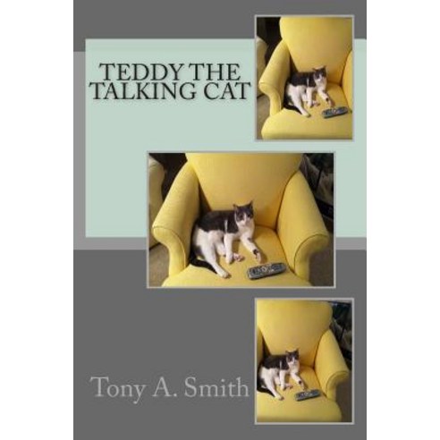 Teddy the Talking Cat Paperback, Createspace Independent Publishing Platform