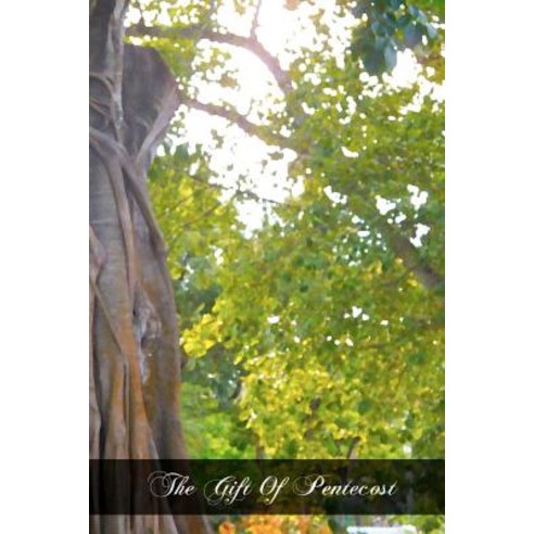 The Gift of Pentecost: Meditations on the Holy Ghost Paperback, Createspace