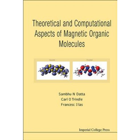 Theoretical and Computational Aspects of Magnetic Organic Molecules Hardcover, Imperial College Press