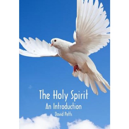 The Holy Spirit an Introduction Paperback, Lulu.com