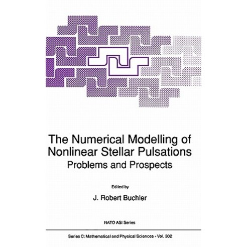 The Numerical Modelling of Nonlinear Stellar Pulsations: Problems and Prospects Hardcover, Springer