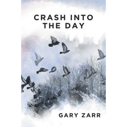 Crash Into the Day Paperback, Authorhouse
