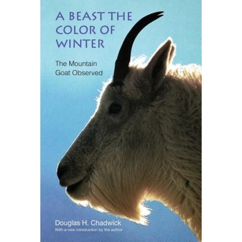 A Beast the Color of Winter: The Mountain Goat Observed Paperback, University of Nebraska Press