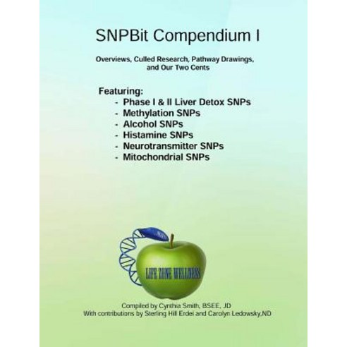Snpbit Compendium 1: Overviews Culled Research Pathway Drawings and Our Two Cents Paperback, Createspace