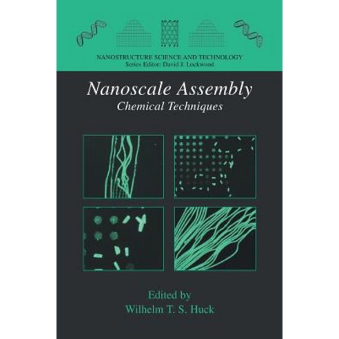 Nanoscale Assembly: Chemical Techniques Paperback, Springer