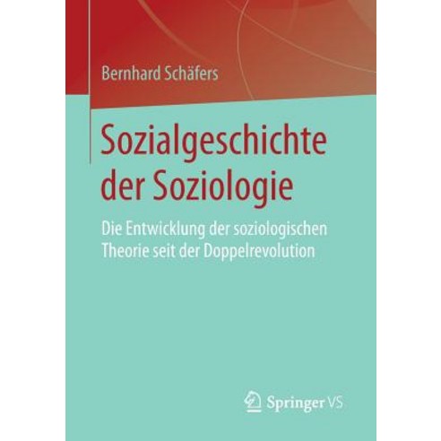 Sozialgeschichte Der Soziologie: Die Entwicklung Der Soziologischen Theorie Seit Der Doppelrevolution Paperback, Springer vs