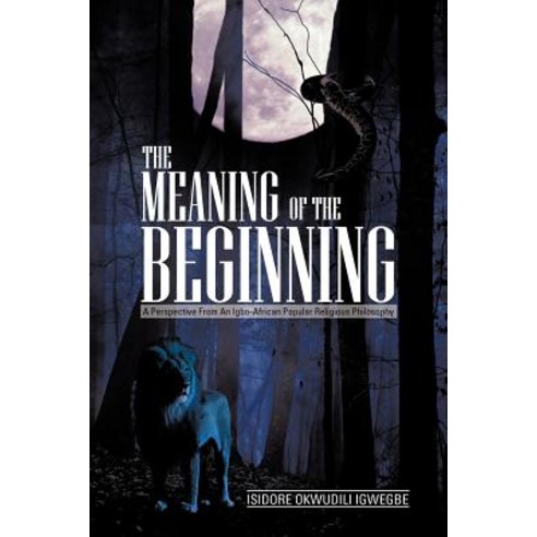 The Meaning of the Beginning: A Perspective from an Igbo-African Popular Religious Philosophy Paperback, Authorhouse
