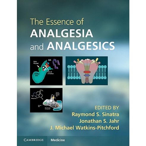 The Essence of Analgesia and Analgesics Paperback, Cambridge University Press
