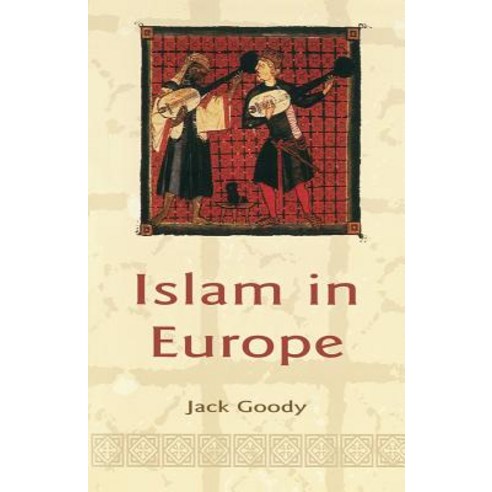 Islam in Europe Paperback, Polity Press