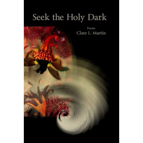 Seek the Holy Dark Paperback, Lulu.com
