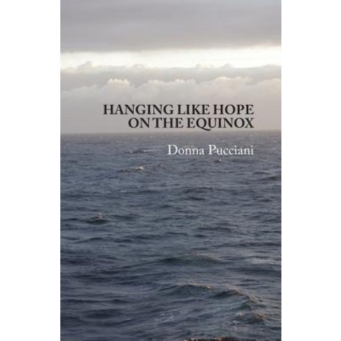 Hanging Like Hope on the Equinox Paperback, Virtual Artists Collective