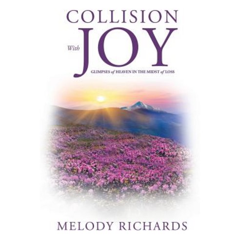 Collision with Joy Paperback, Xulon Press
