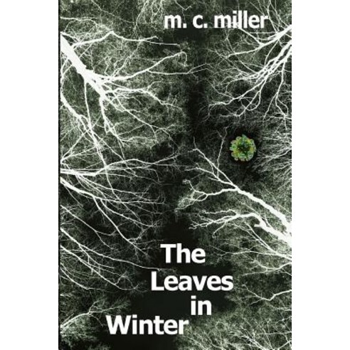 The Leaves in Winter Paperback, M9d9 Enterprises LLC