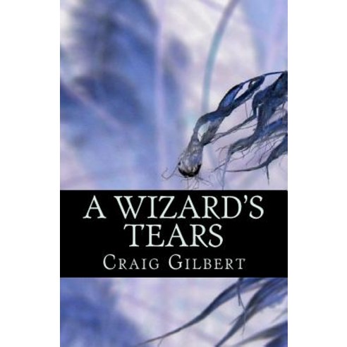 A Wizard''s Tears Paperback, Booksurge Publishing