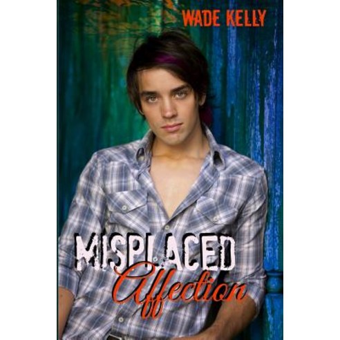 Misplaced Affection Paperback, Wade Kelly Books - 가격 변동 추적 그래프 - 역대가