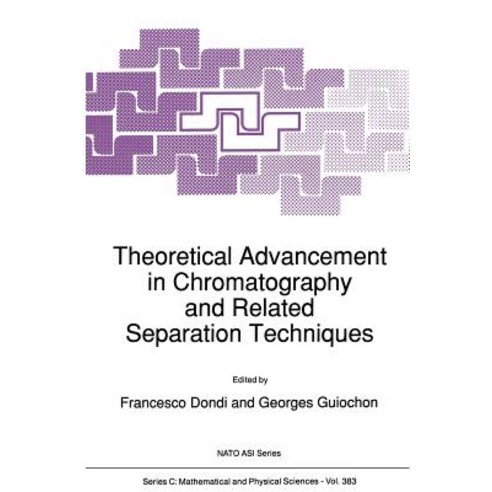 Theoretical Advancement in Chromatography and Related Separation Techniques Paperback, Springer