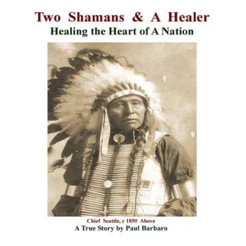 Two Shamans and a Healer: Healing the Heart of a Nation Paperback, Createspace Independent Publishing Platform