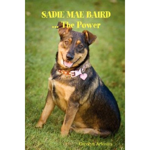 Sadie Mae Baird ... the Power Paperback, Lulu.com