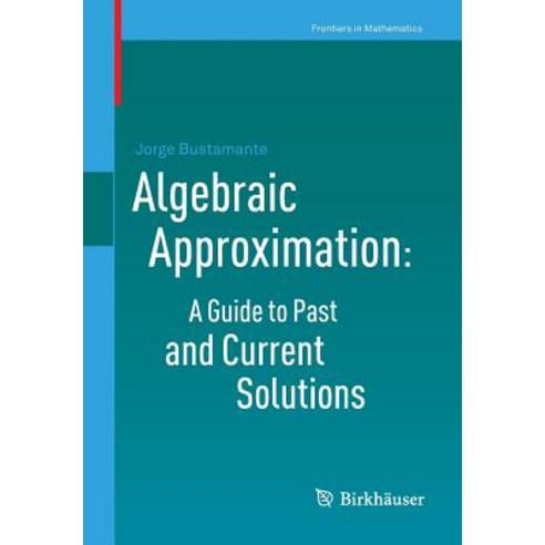 Algebraic Approximation: A Guide to Past and Current Solutions Paperback, Birkhauser
