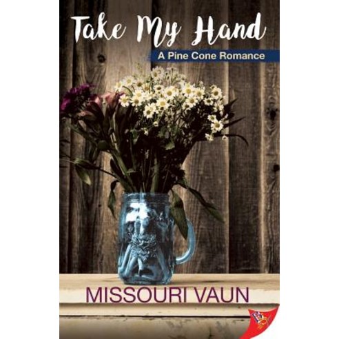 Take My Hand Paperback, Bold Strokes Books