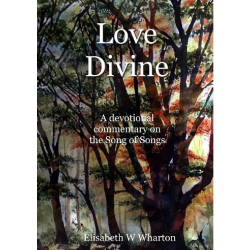 Love Divine Paperback, Lulu.com